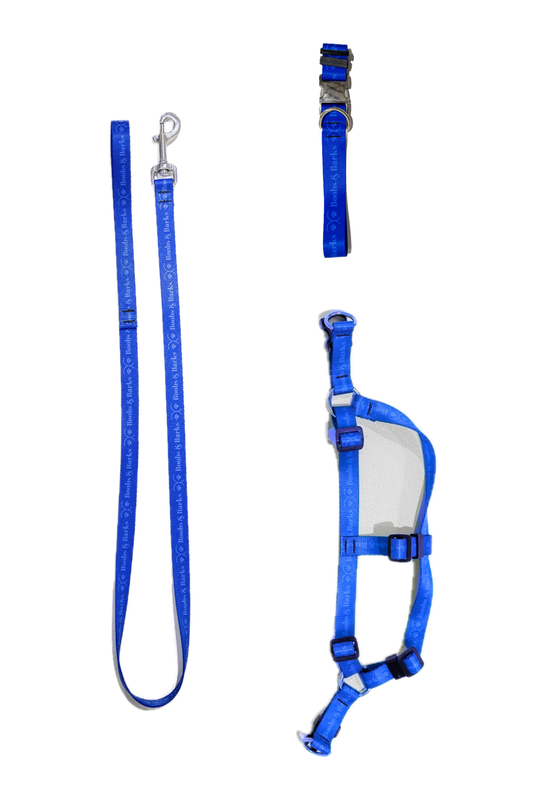Dog Essentials Kit — Royal Blue