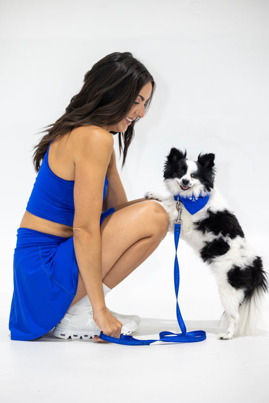 Dog Mom Set — Royal Blue