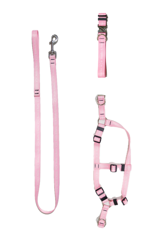 Dog Essentials Kit — Bubblegum Pink