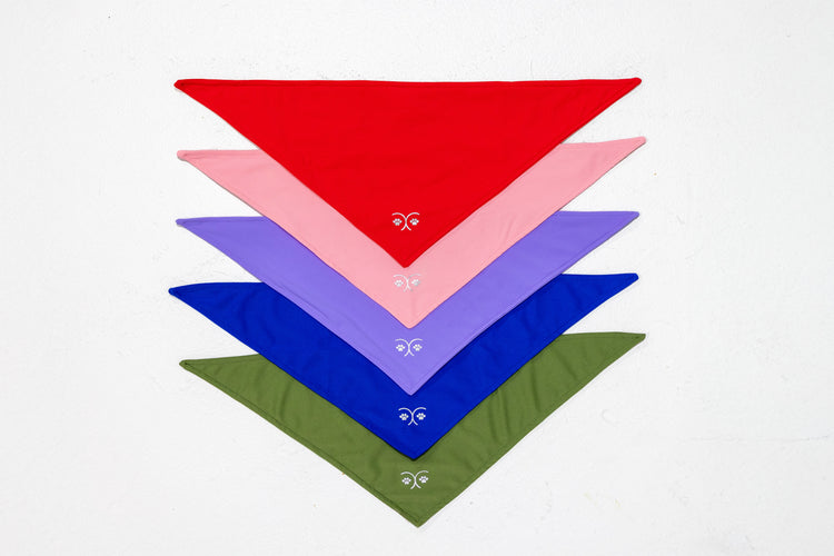 The Harbour Bandana Collection