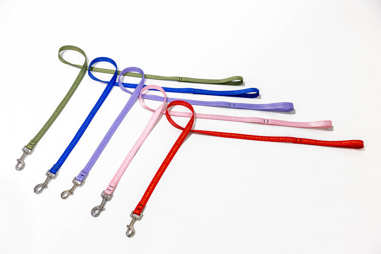 The Companion Lead Collection