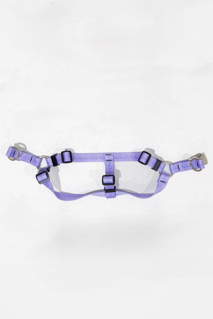 Adjustable B&B Dog Harness — Lavender Purple