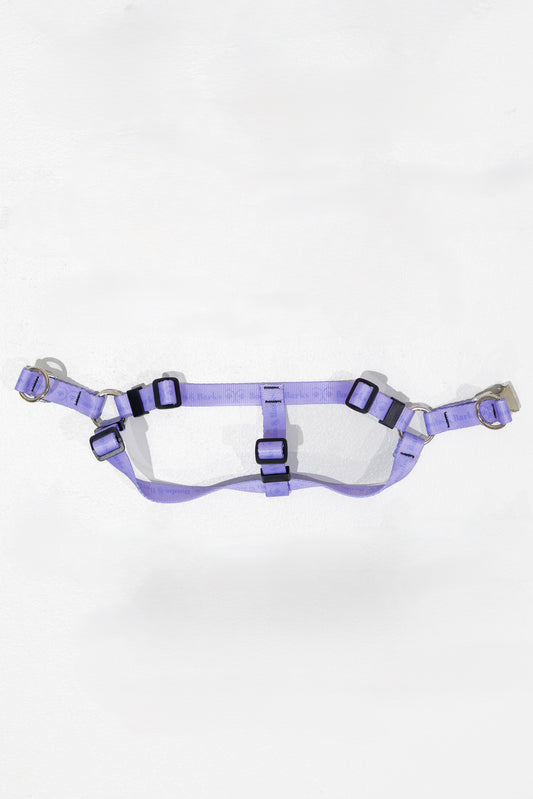 Adjustable B&B Dog Harness — Lavender Purple