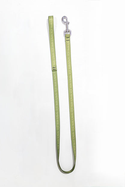 Classic 4ft B&B Dog Leash — Forest Green