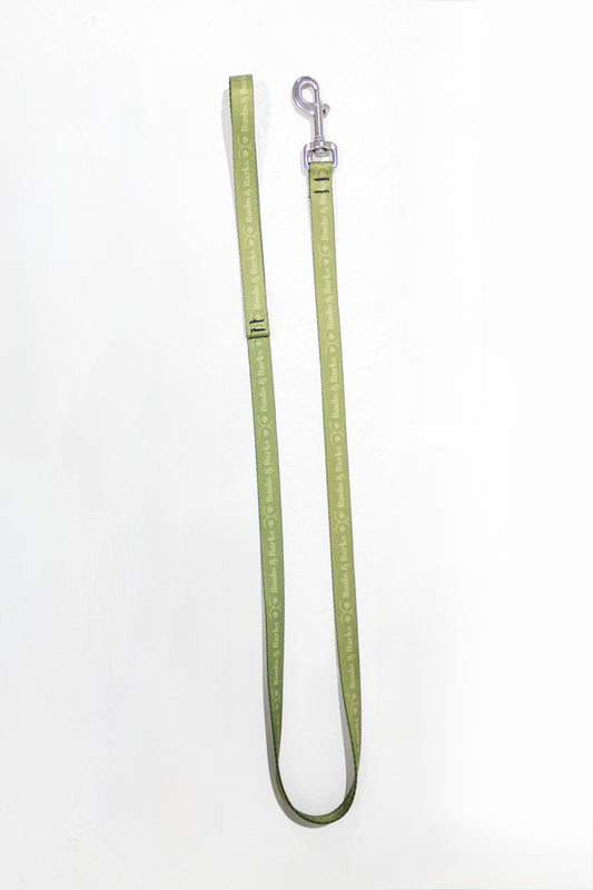 Classic 4ft B&B Dog Leash — Forest Green