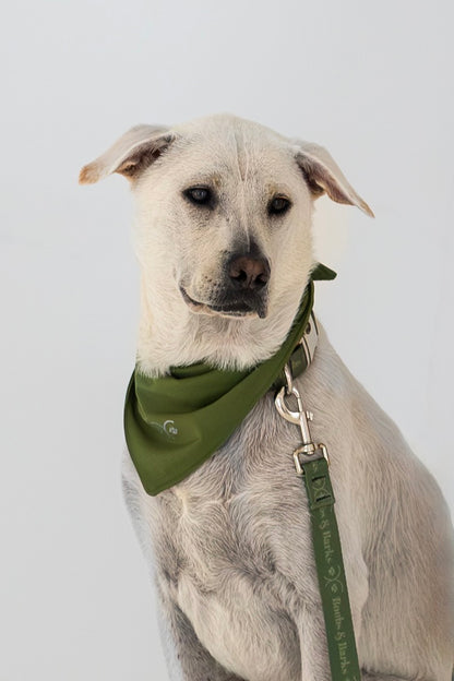 Durable Dog Bandana — Forest Green
