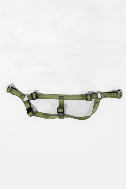Adjustable B&B Dog Harness — Forest Green