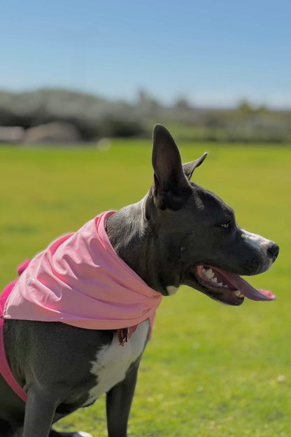 The Harbour Bandana in Palm Blush
