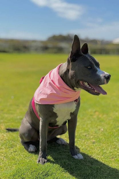 The Harbour Bandana in Palm Blush