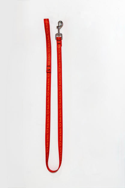 Classic 4ft B&B Dog Leash — Scarlet Red