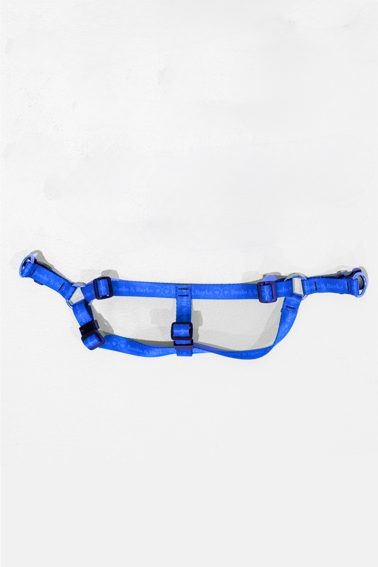 Dog Essentials Kit — Royal Blue