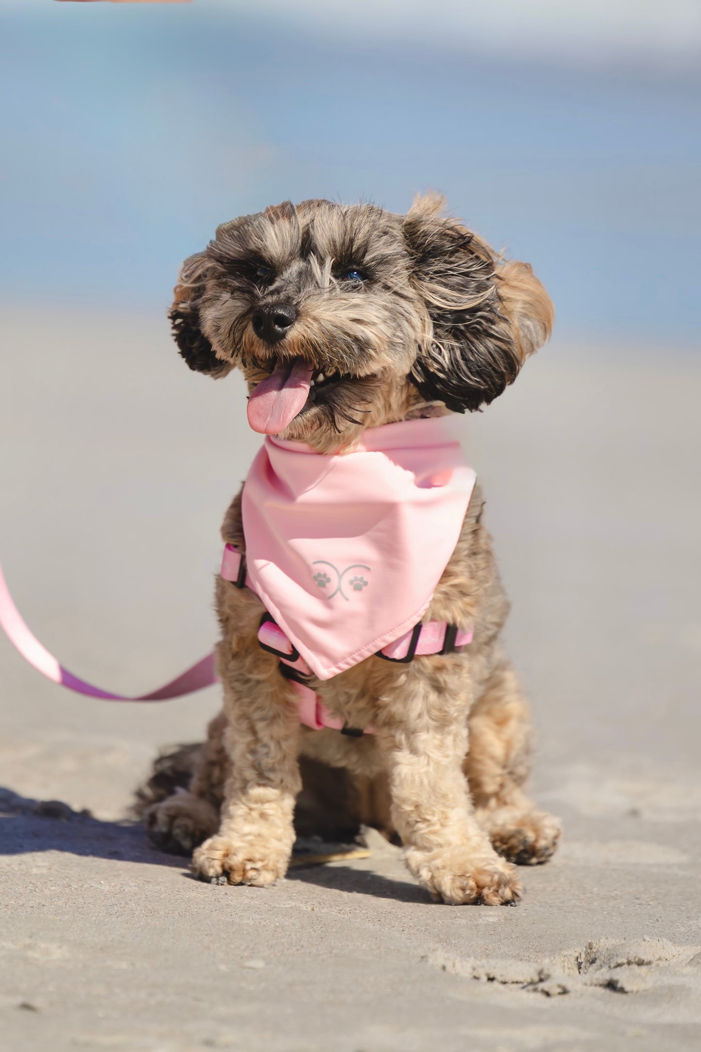 The Harbour Bandana in Palm Blush