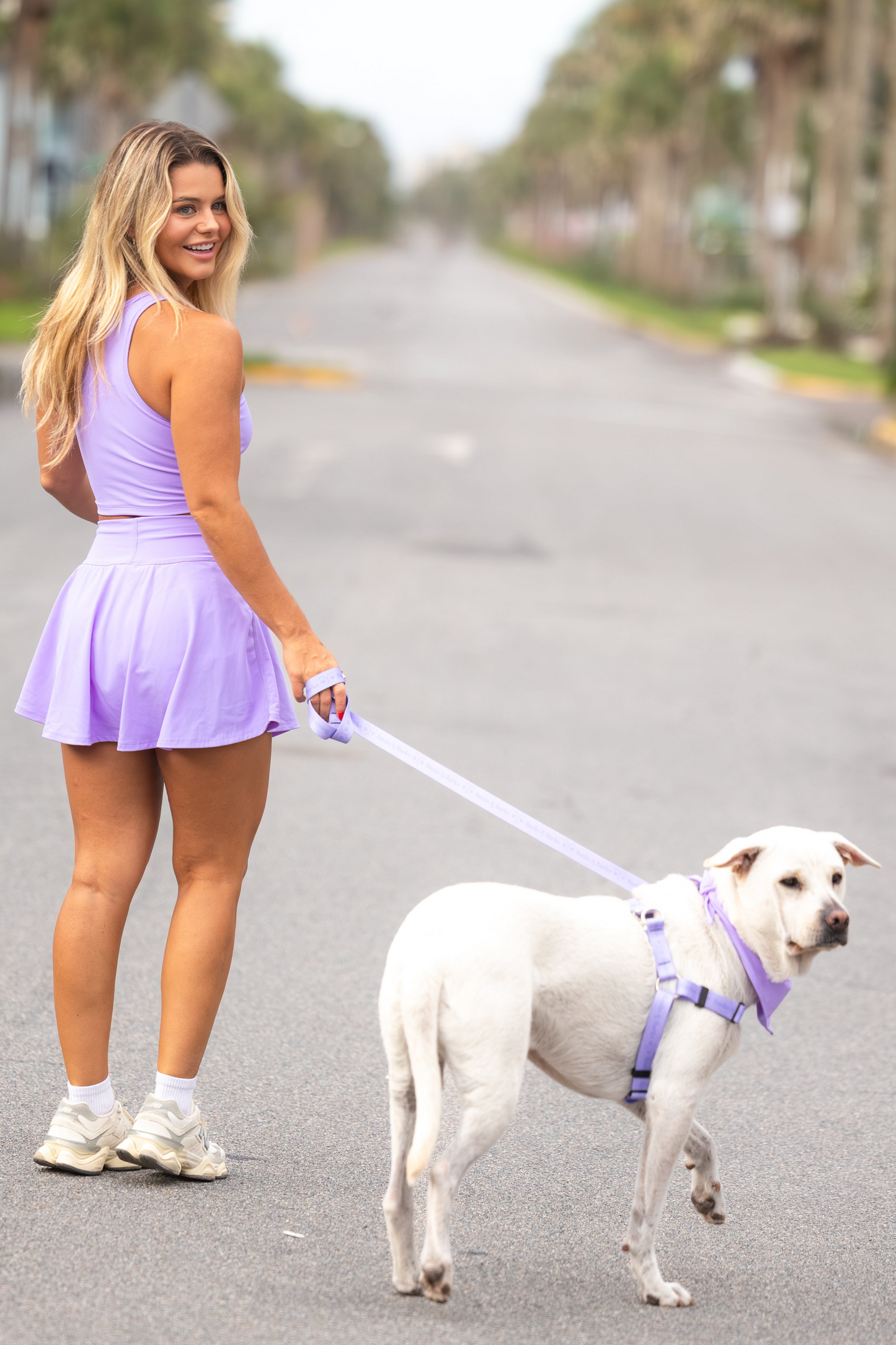 Dog Essentials Kit — Lavender Purple