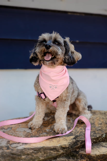 The Harbour Bandana in Palm Blush