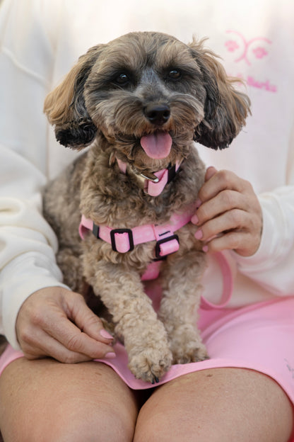 The Companion Harness in Palm Blush