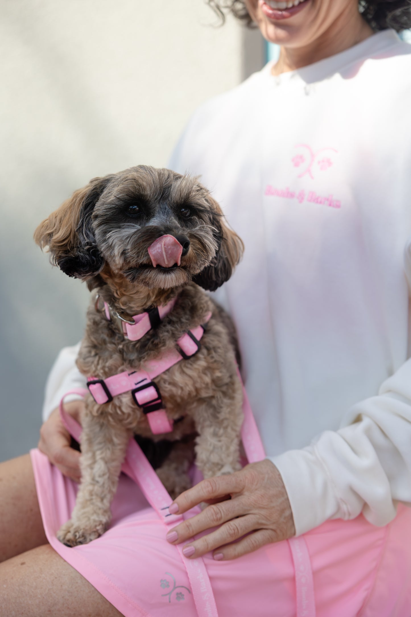The Companion Collar in Palm Blush