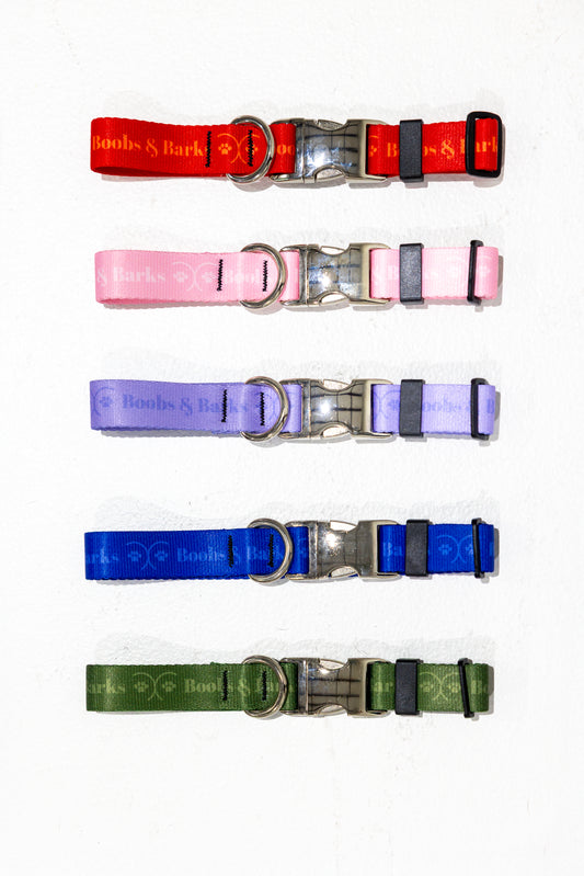 Adjustable B&B Dog Collar — Lavender Purple