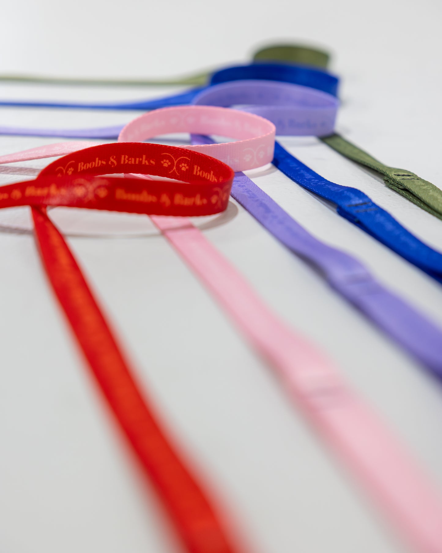 Classic 4ft B&B Dog Leash — Royal Blue