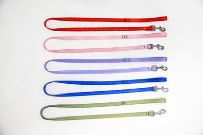 Classic 4ft B&B Dog Leash — Royal Blue