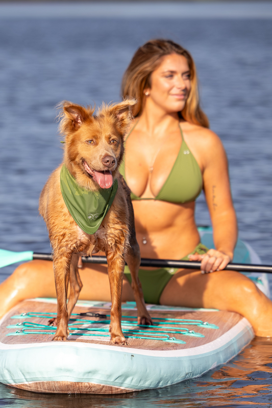 The Harbour Swim Set in Tidal Pine