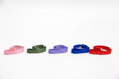 Classic 4ft B&B Dog Leash — Royal Blue