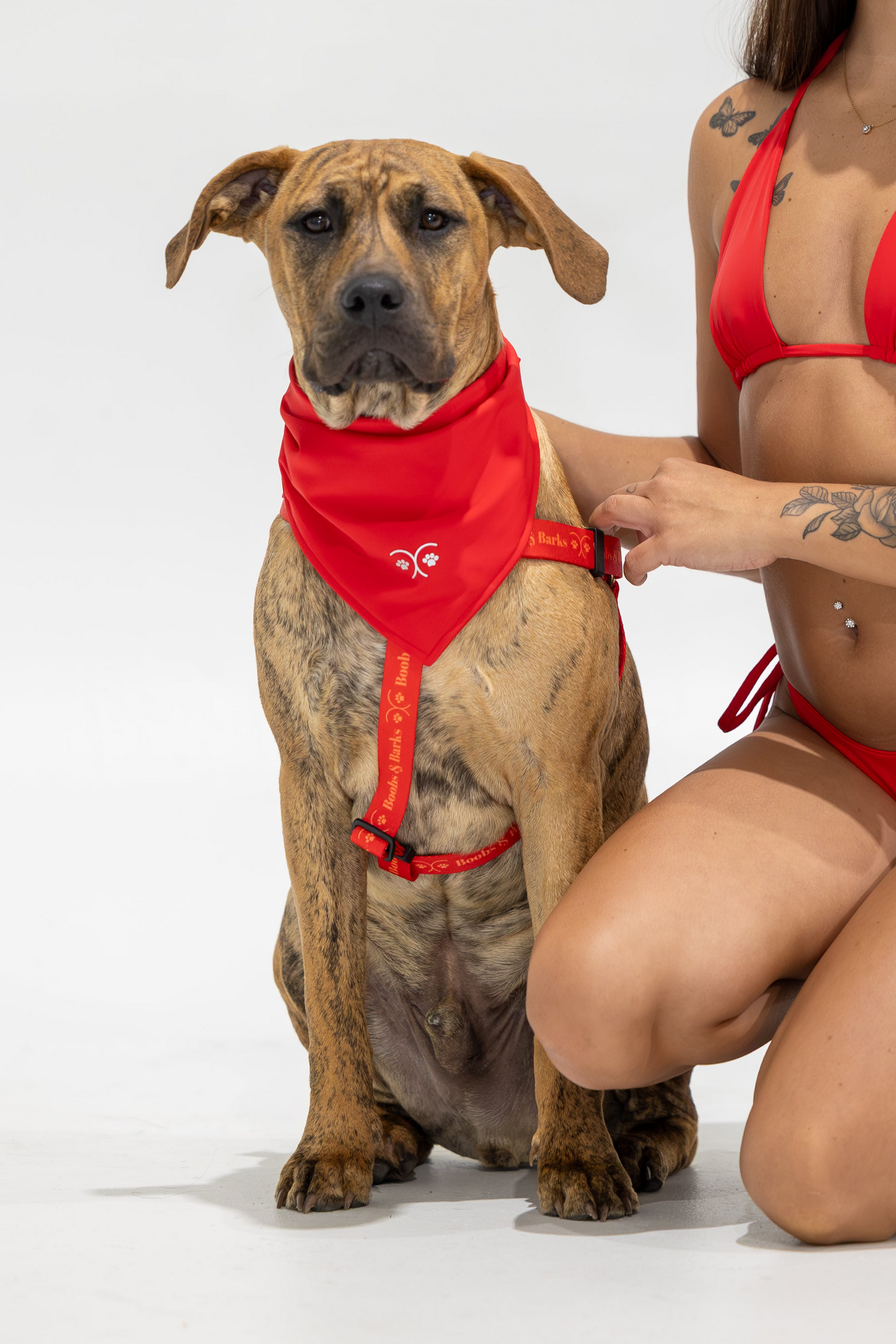 Adjustable B&B Dog Harness — Scarlet Red