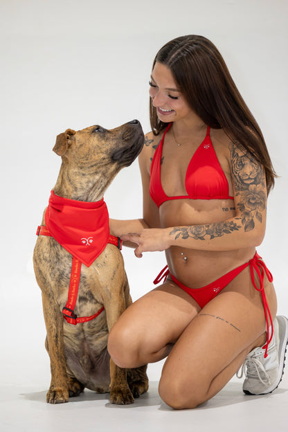 Adjustable B&B Dog Harness — Scarlet Red
