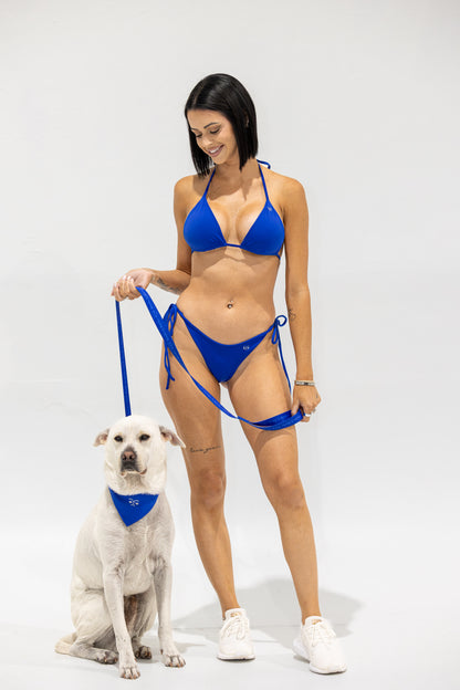 Classic 4ft B&B Dog Leash — Royal Blue