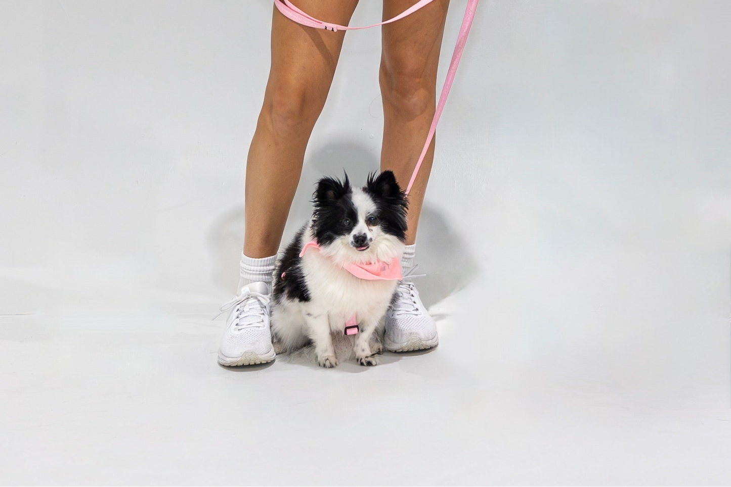 Dog Mom Set — Bubblegum Pink