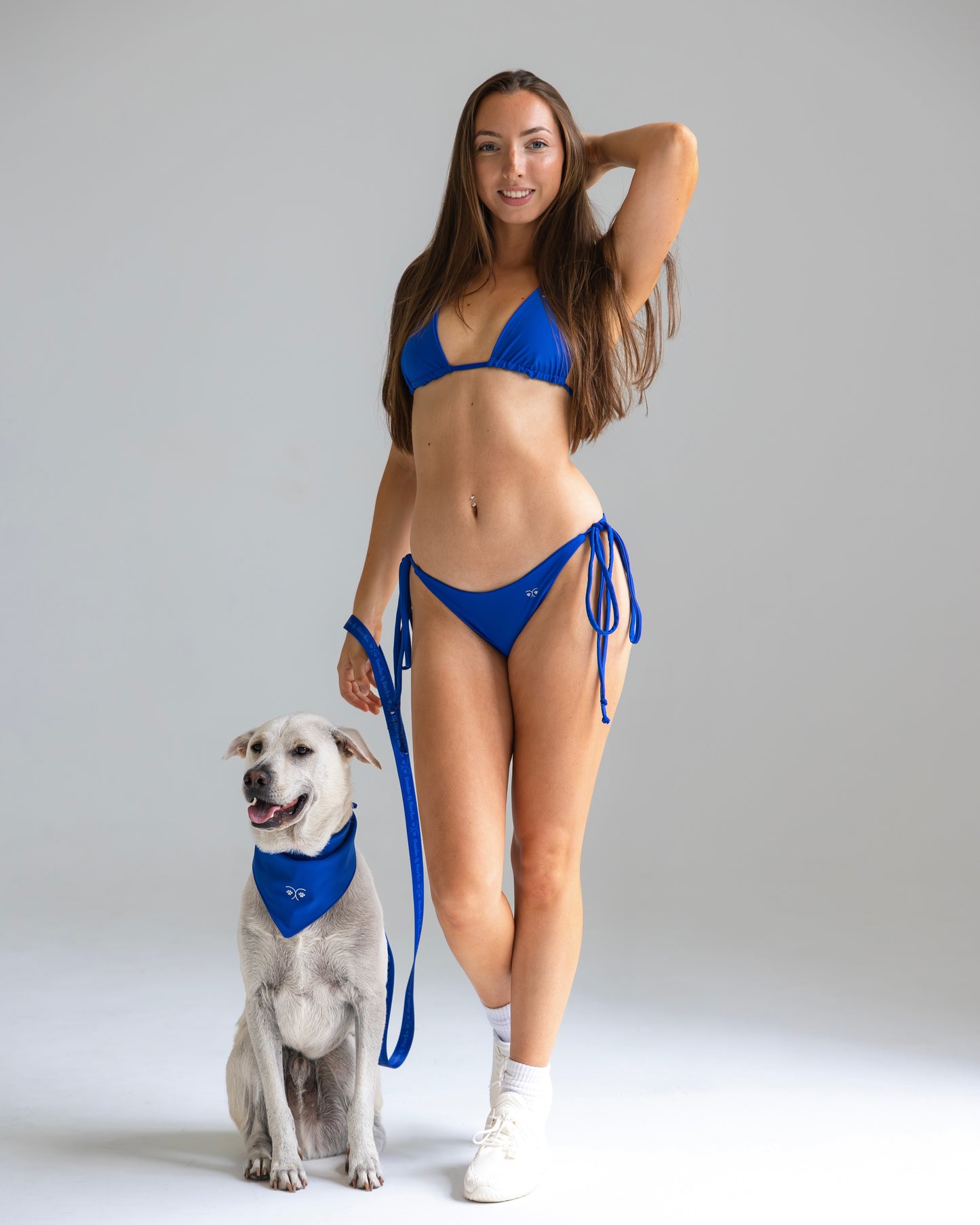 Durable Dog Bandana — Royal Blue