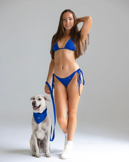 Durable Dog Bandana — Royal Blue
