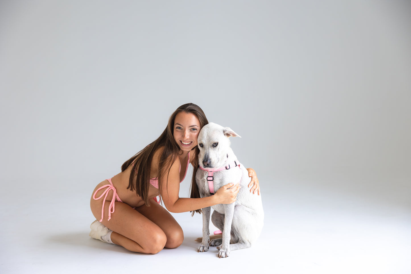 Adjustable B&B Dog Harness — Bubblegum Pink