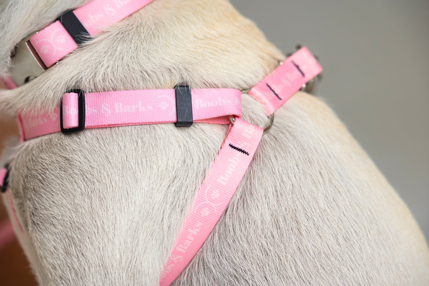Adjustable B&B Dog Harness — Bubblegum Pink