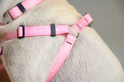Adjustable B&B Dog Harness — Bubblegum Pink