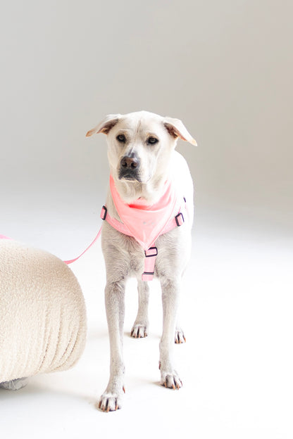Durable Dog Bandana — Bubblegum Pink