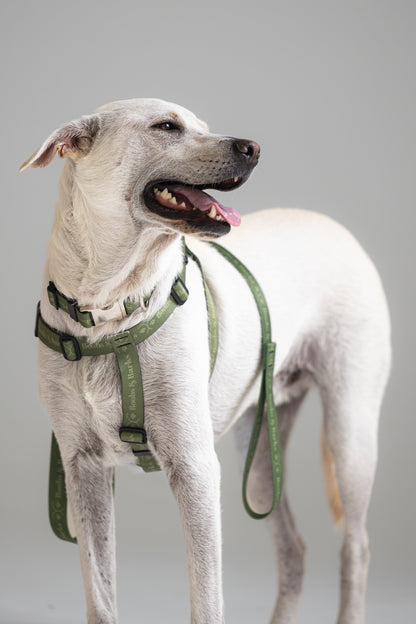 Classic 4ft B&B Dog Leash — Forest Green